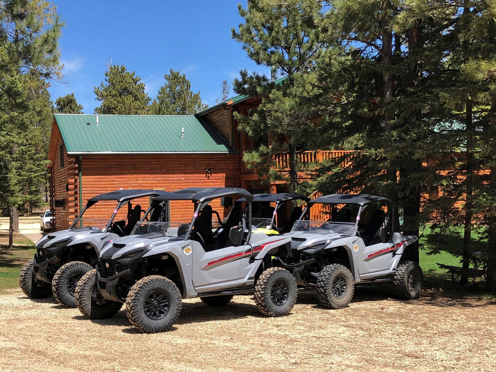 Experience the Beauty of the Black Hills National Forest Image 0