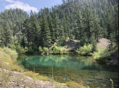 Experience the Beauty of the Black Hills National Forest Image 0
