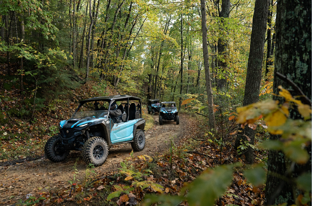 Iconic Hatfield McCoy Trails Image 0