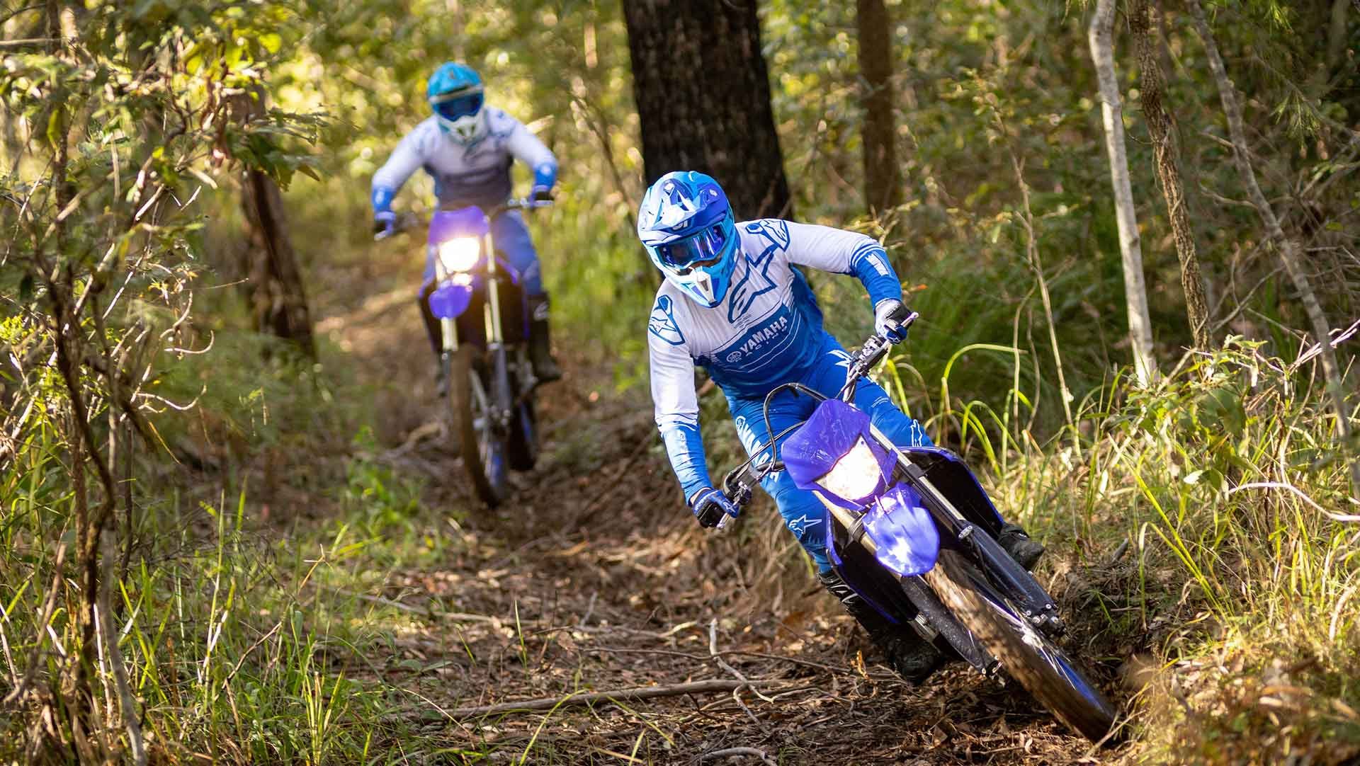 Golden Gate Escape Image 0