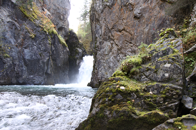 Alaska Backcountry ATV Tour Image 0