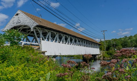 Wild Trail up to the Canadian Border Image 0