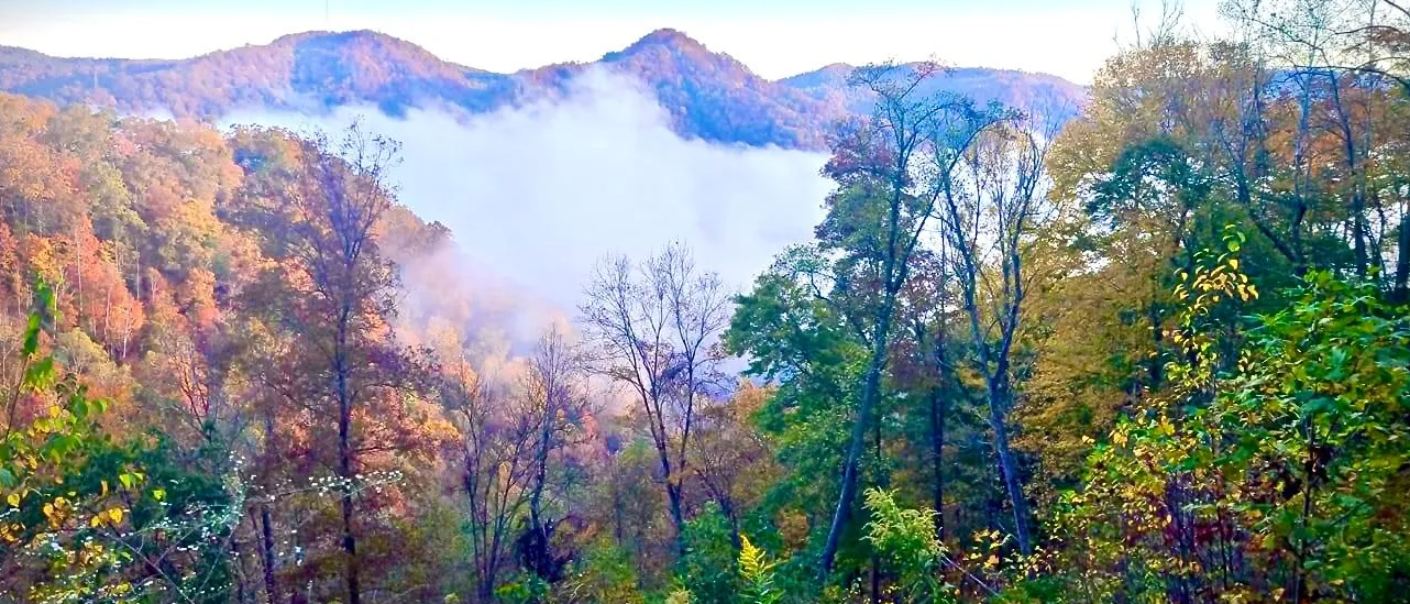 Hatfield McCoy Resort Stay Image 0