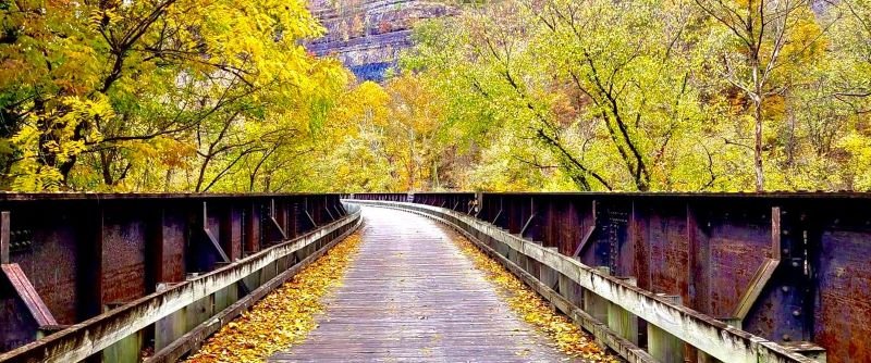 Hatfield McCoy Resort Stay Image 0