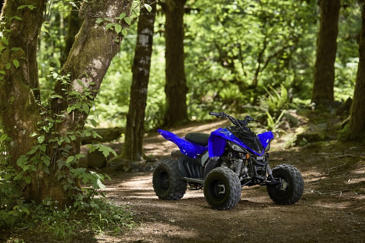 Scaled Down, Not Scaled Back