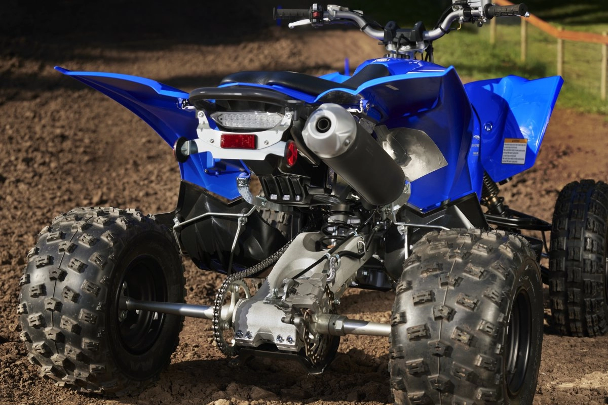 Assist & Slipper Clutch