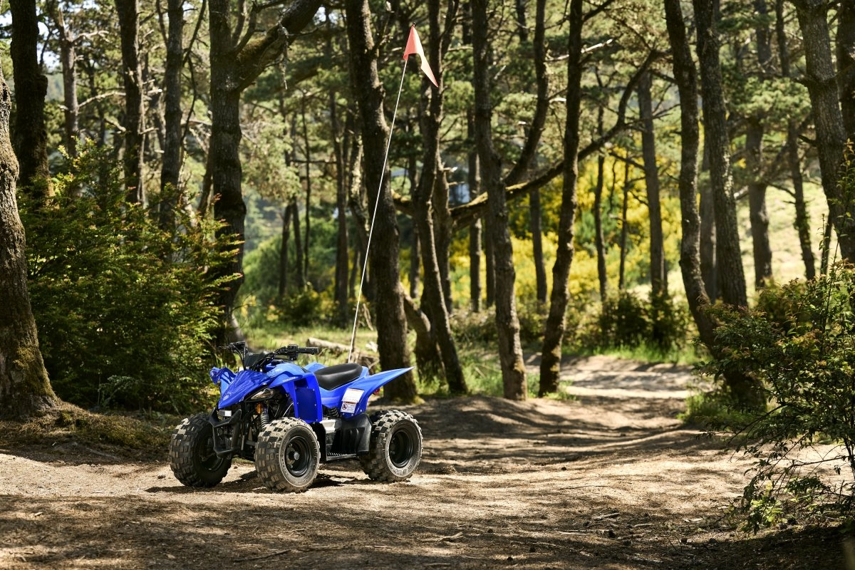 Yamaha Sport ATV DNA